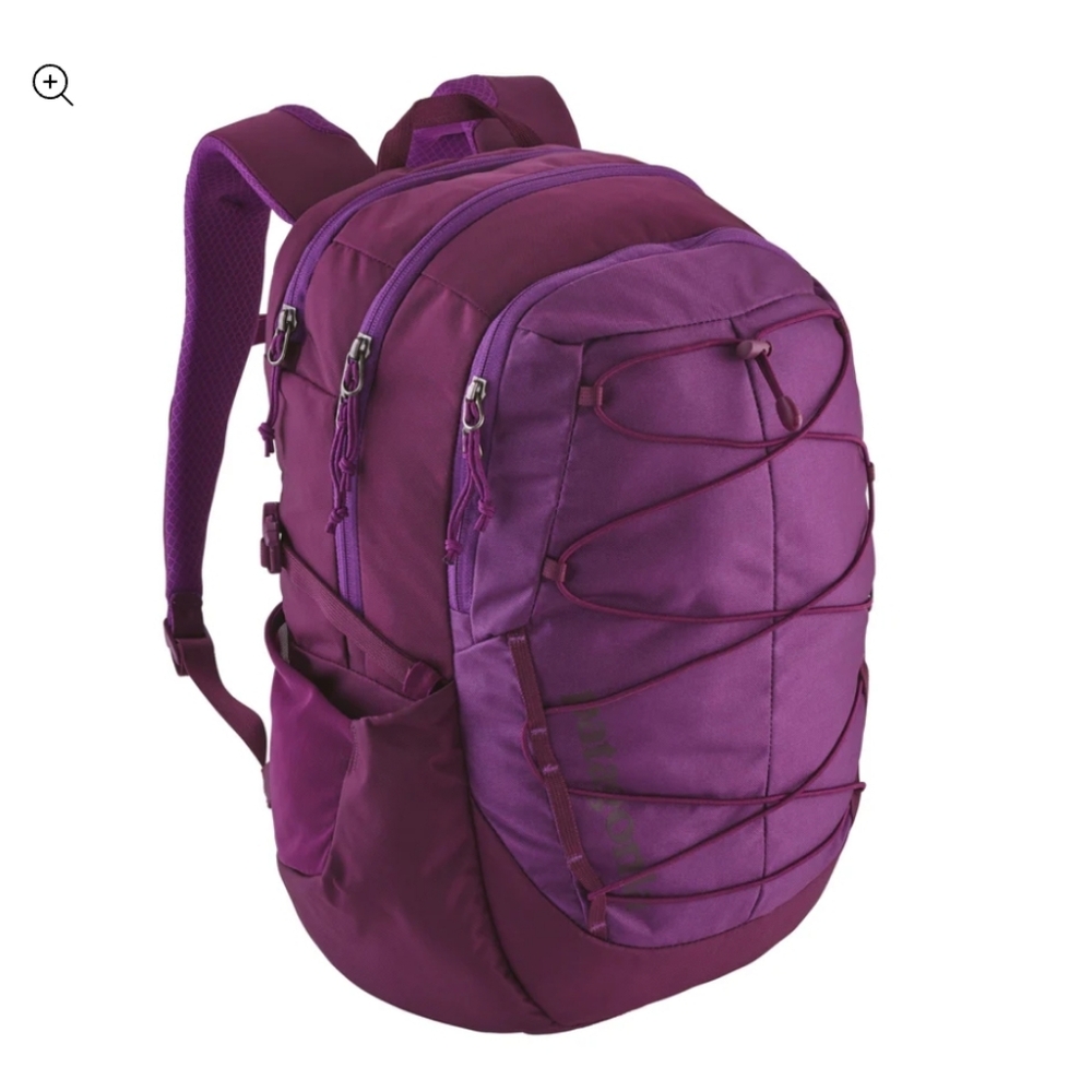 Patagonia Purple Backpack